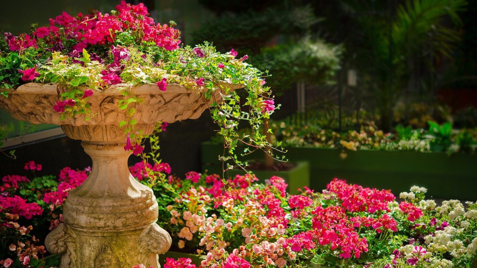 Un large choix d’éclairage pour mettre en lumière votre jardin