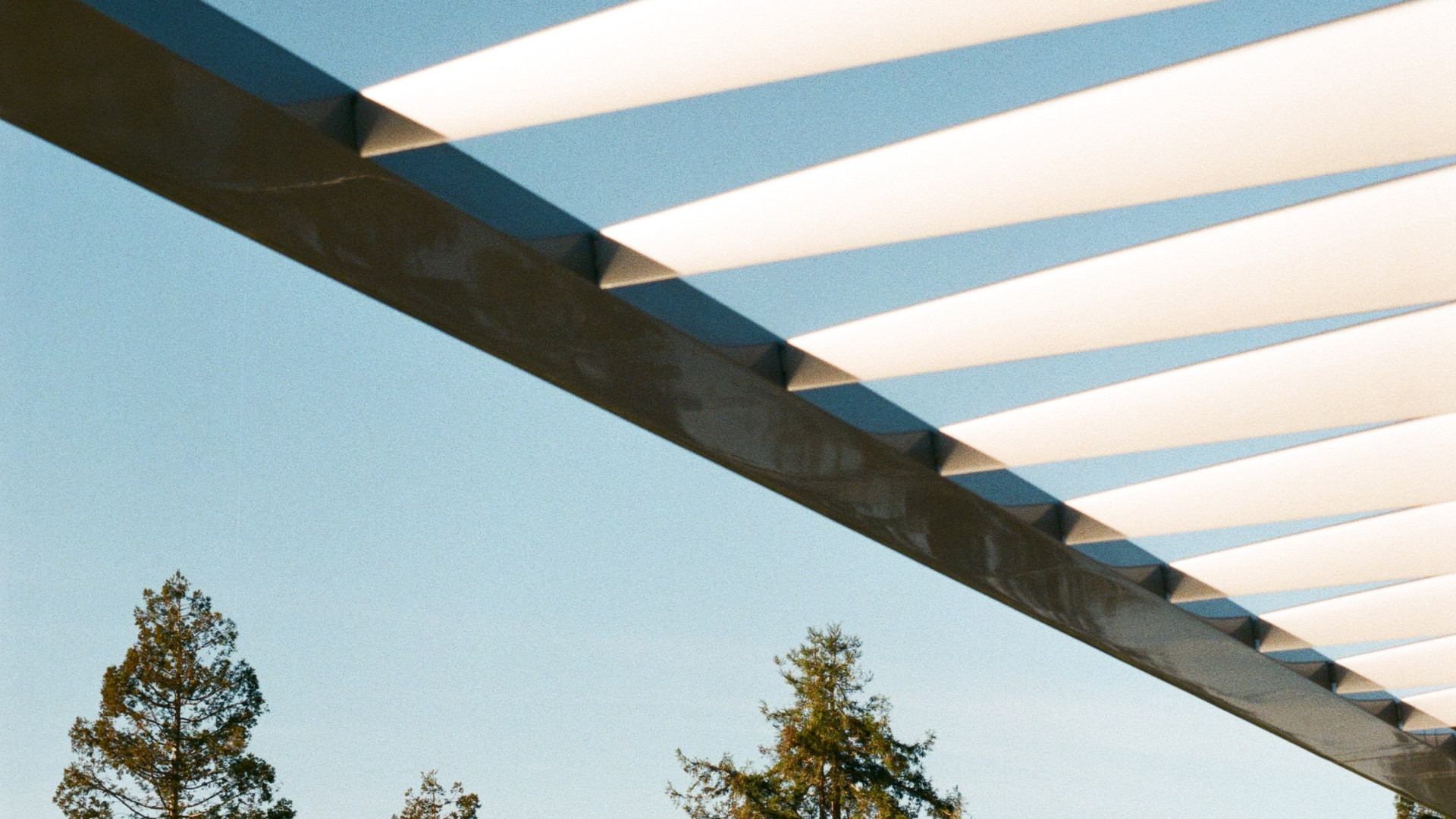 Créez un espace extérieur unique avec une pergola sur mesure